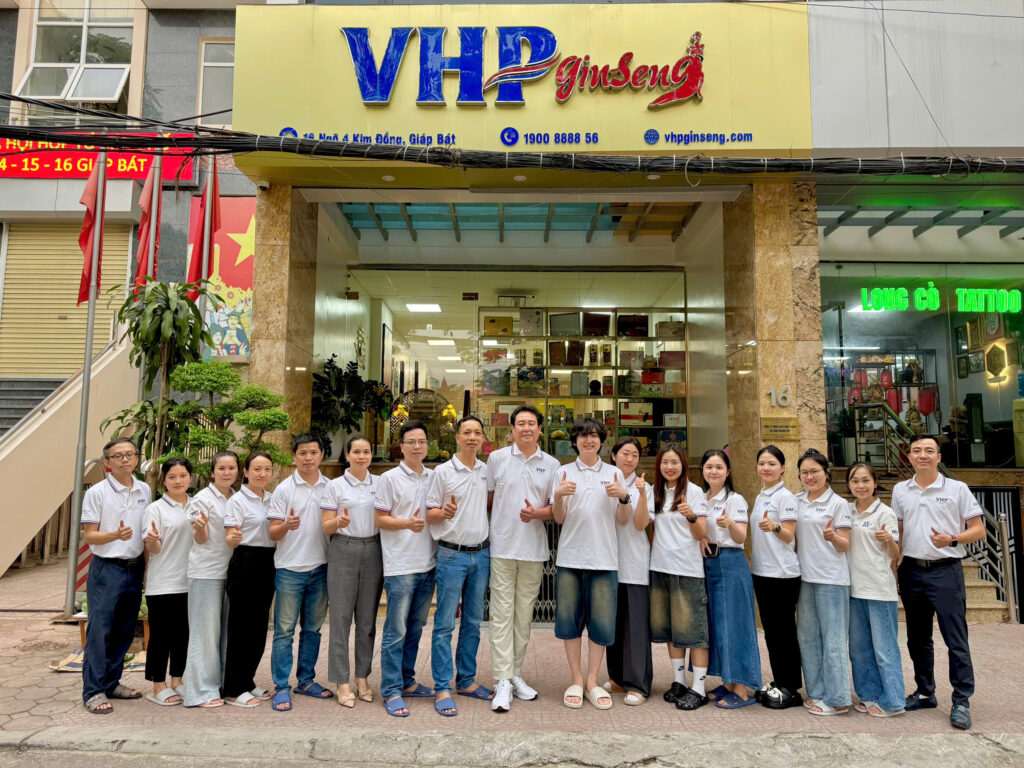 VHP Group